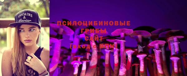 молекула духа Богданович