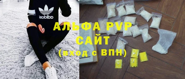 a pvp Бородино